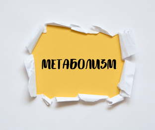 Метаболизм и расход калорий