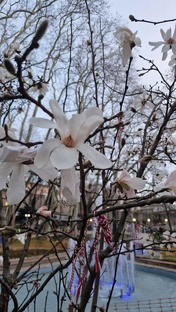 Высокая чувствительность 