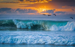 Польза моря