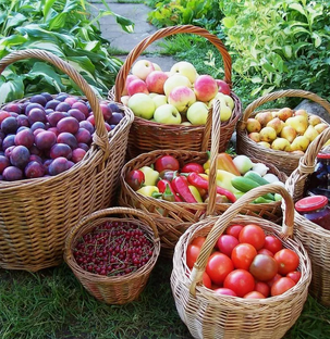 Про Сад и Огород