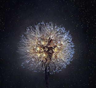 Быстрый способ узнать ответ 