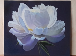 Мои картины