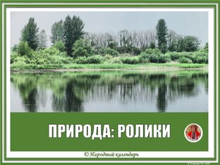 ПРИРОДА, ПРИРОДНЫЕ ЯВЛЕНИЯ: РОЛИКИ