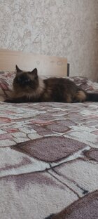 Про меня!