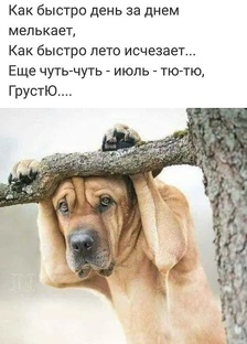 Середина 