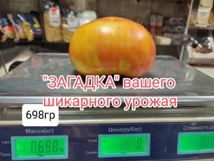 Помидоры
