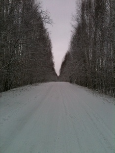 Русская дорога! 