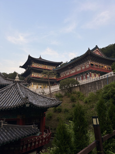 Плюсы и минусы разных городов и стран.