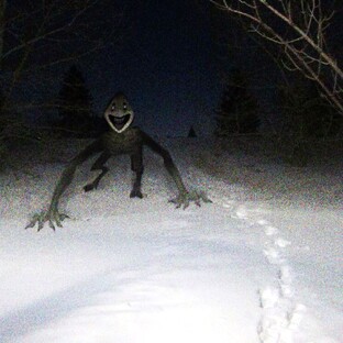 О них знают, но никто их не видел