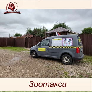 Зоотакси
