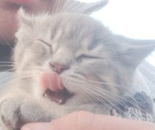 Цезарь.