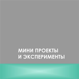 ЧЕЛЛЕНЖИ / МИНИ ПРОЕКТЫ /ЭКСПЕРИМЕНТЫ