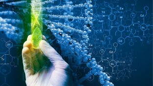 Биохимические процессы