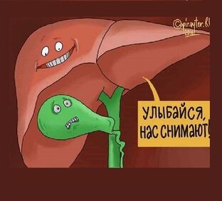 Гепатобилиарная система