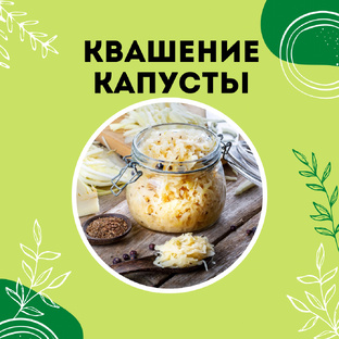 Про квашение капусты 