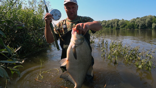 Ловля леща летом