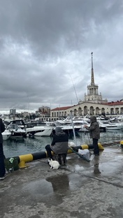 покупка квартиры в Сочи