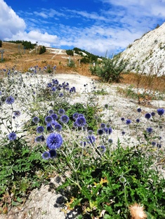 Хвалынск, август 2024, май 2025