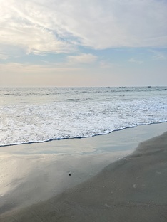 Путешествия и природа