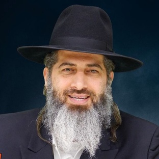 Видео лекции 2024г. - Рав Ронен Шаулов