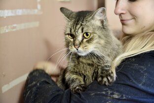 Самое актуальное!