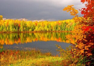 Осенние стихи
