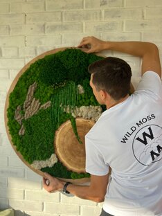 Круглые панно из мха, дерева, амаранта, папоротника