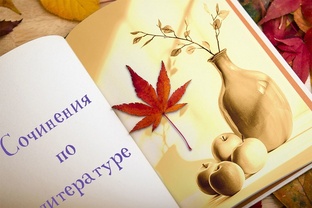 Сочинения по литературе
