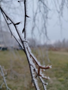 Подборка странных историй 