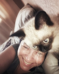 Видео про домашних любимцев