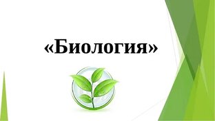 Здоровье.