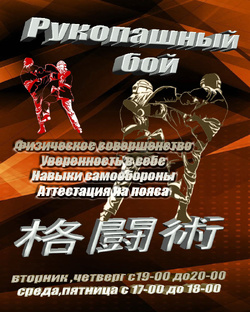 Рукопашный бой