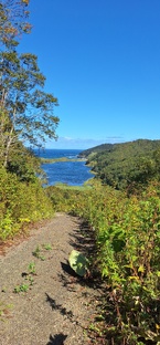 Путишествия 