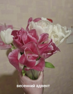 Весенний адвент от Трио Мило