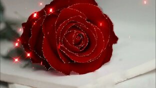 доброе утро