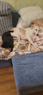 Знакомство