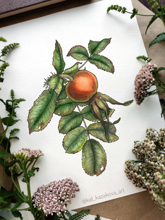 Полезное о графике линером