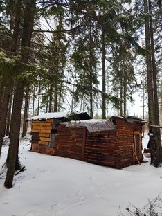 Зимовка в тайге