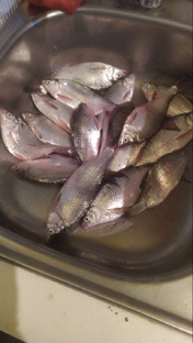 Рыбалка на Азовском море 🎣