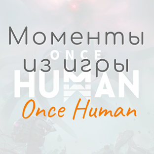 Once Human