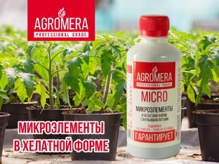 Отзывы