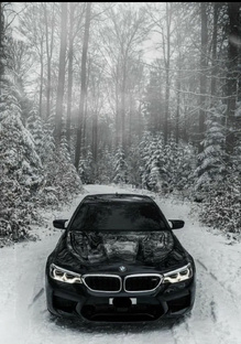 Что ставить на аву бляя🤪🤪