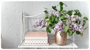 БЕСПЛАТНЫЕ новые видео внутри статьи 