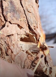 Короткие Ролики с Туристическими Лайфхаками 🏕