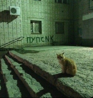Минутка из жизни 