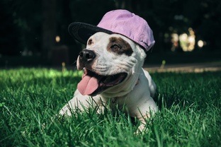 Подписка. Стартовый уровень