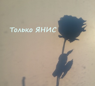 ЯНИС