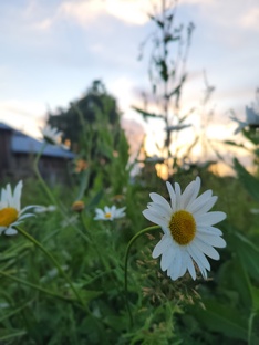 Дом в селе 🏡