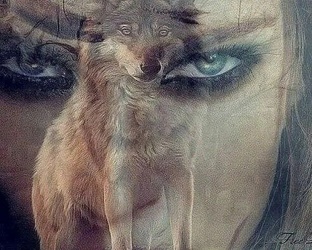 Ведьмина дорога