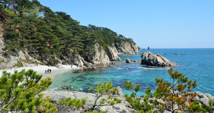 Дальний Восток России